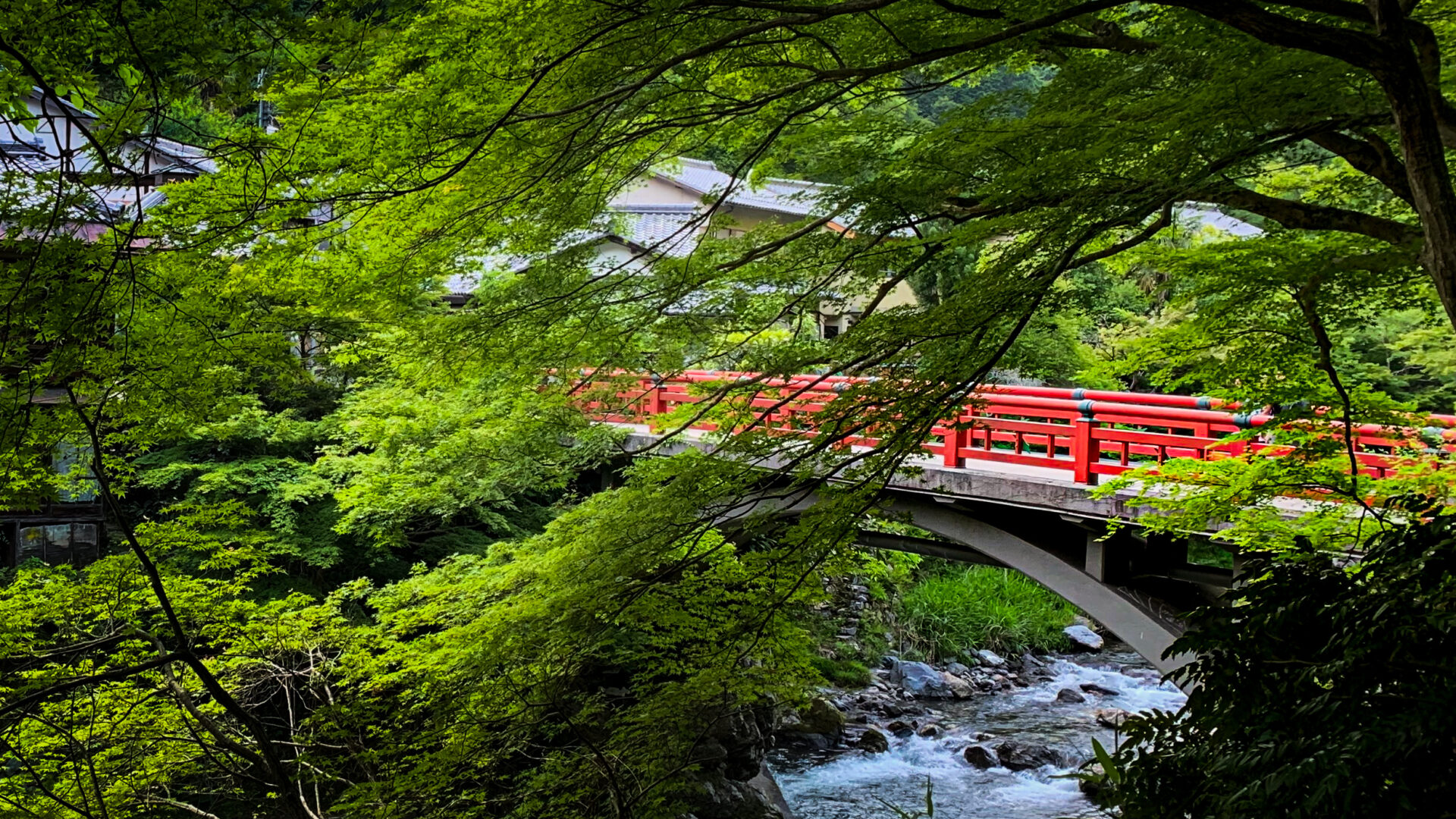 Skipping Kyoto’s Top 10 for a River That Isn’t on the Map